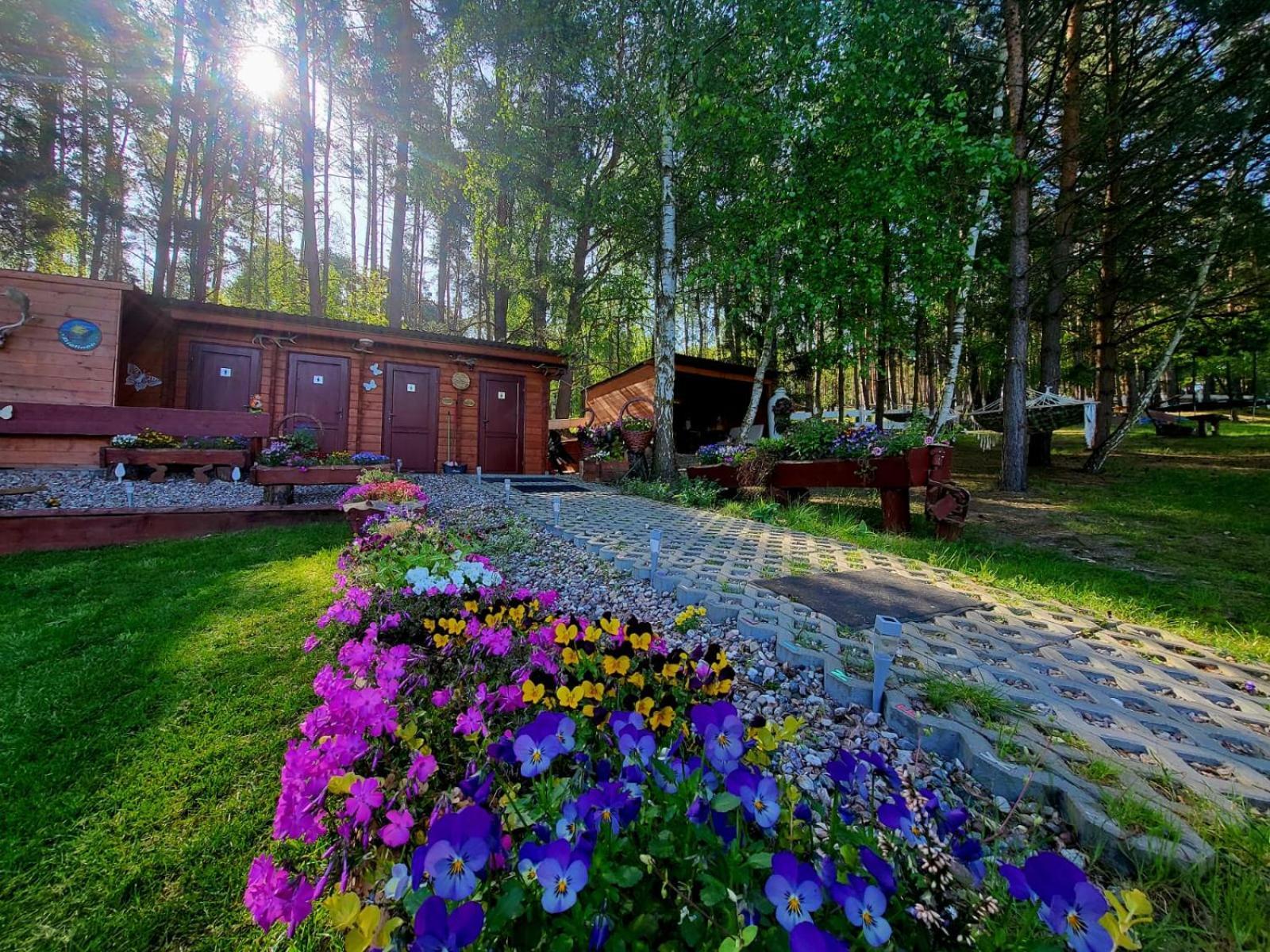 Hotel Glamping Pod Orlem Cedynia Exterior foto